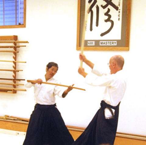 Bay Area Center With Aikido | 3009 FM 517 Rd E, Dickinson, TX 77539, USA | Phone: (281) 337-5893