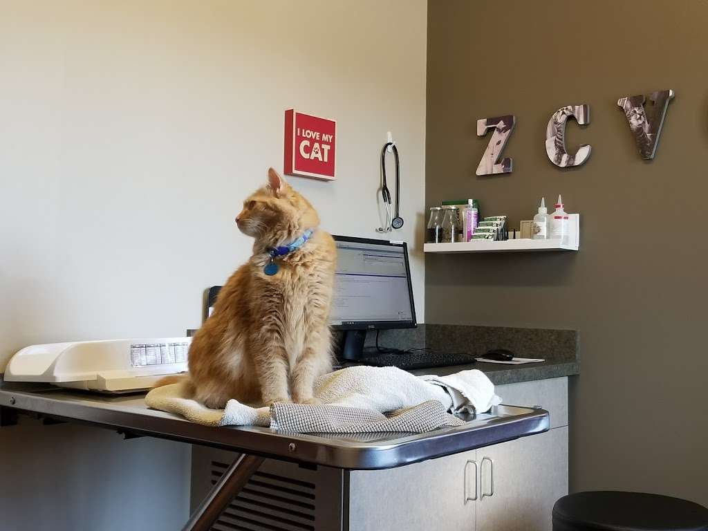 Zionsville Country Vet Clinic | 6971 Central Boulevard, Zionsville, IN 46077, USA | Phone: (317) 769-7387