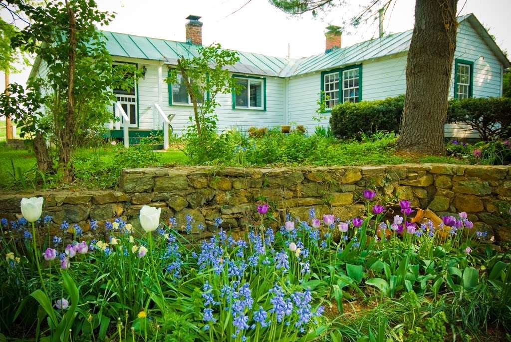 Briar Patch Bed & Breakfast Inn | 23130 Briar Patch Ln, Middleburg, VA 20117 | Phone: (703) 327-5911