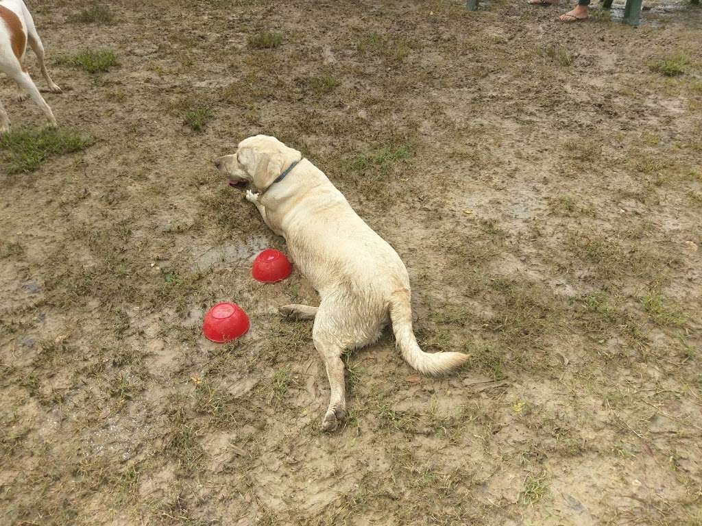 Bark Park at Countryside (League City Dog Park) | League City, TX 77573, USA