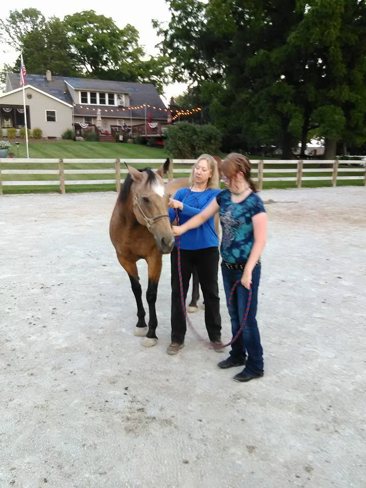 Agape Therapeutic Riding Resources | 24970 Mt Pleasant Rd, Cicero, IN 46034, USA | Phone: (317) 773-7433