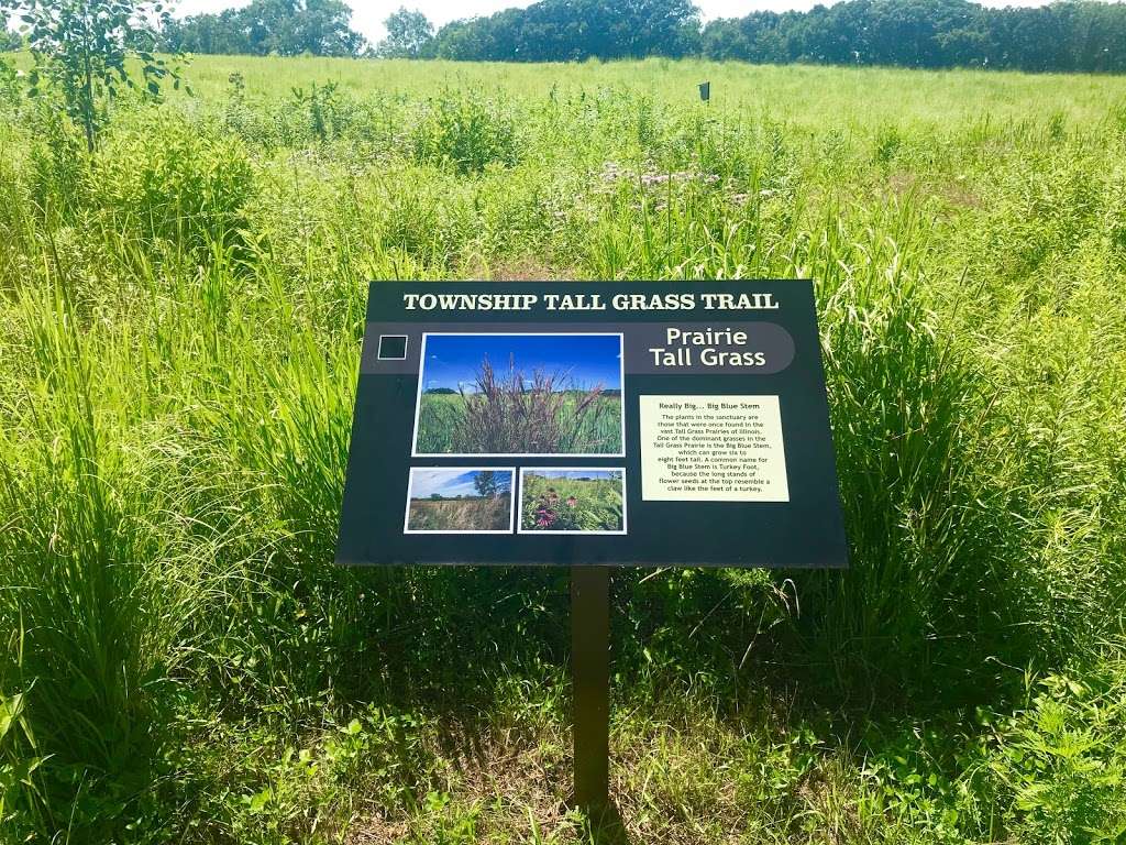 Lemont Township Heritage Woodland Sanctuary | W Roberta St, Lemont, IL 60439, USA