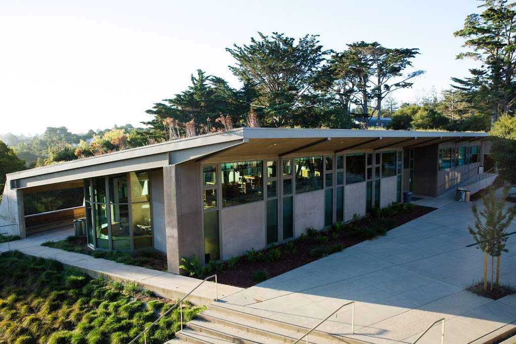 The Nueva School Hillsborough Campus | 6565 CA-35, Hillsborough, CA 94010, USA | Phone: (650) 350-4600