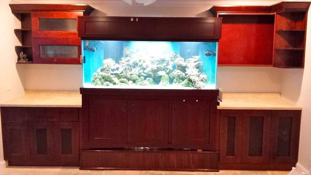 Blue Earth Corals & Aquariums | 5791 Desoto Rd, Lake Worth, FL 33463 | Phone: (561) 345-2944