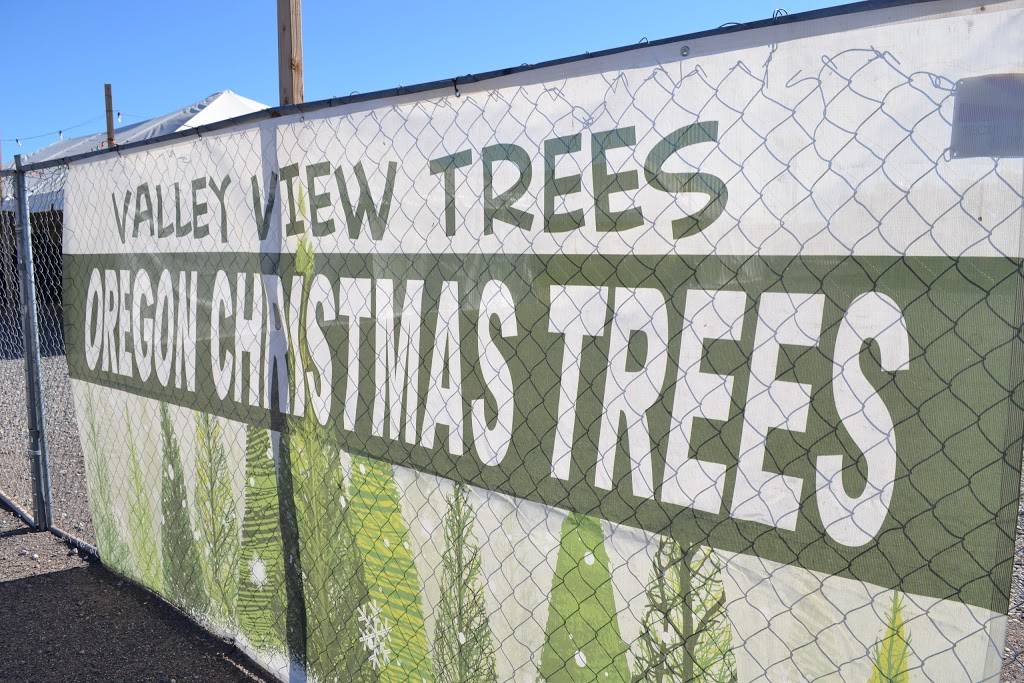 Valley View Christmas Trees | 2240 W Chandler Blvd, Chandler, AZ 85244, USA | Phone: (480) 318-7960