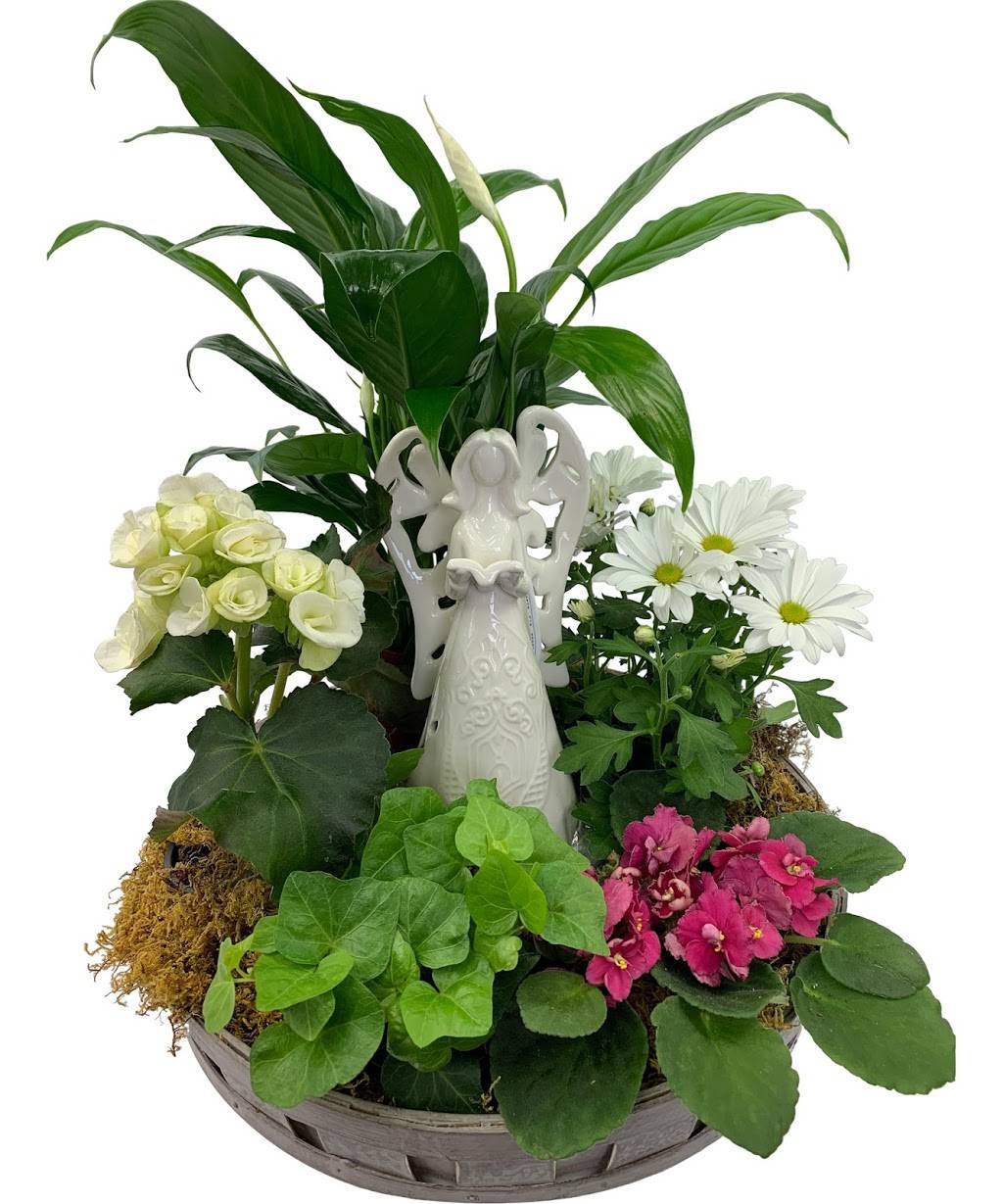 Adrian Durban Florists | 6941 Cornell Rd, Cincinnati, OH 45242 | Phone: (513) 489-7673