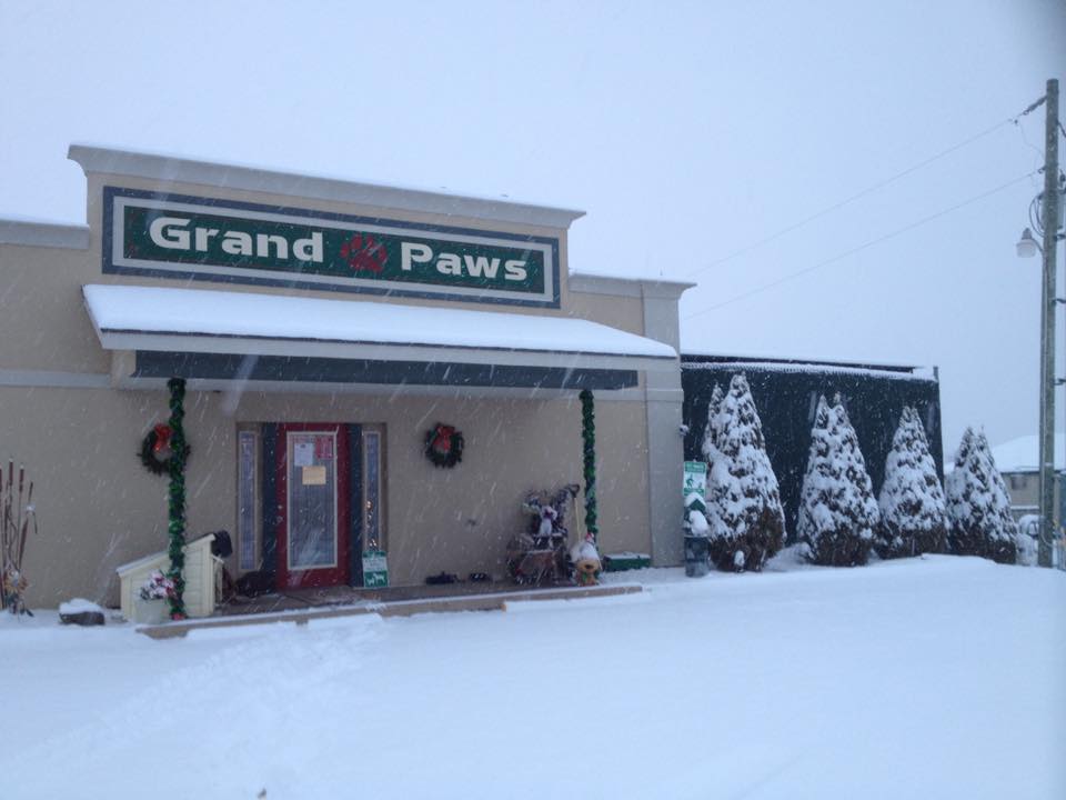 Grand Paws Pet Boarding & Salon | 4530 SE, State Rte C, Maysville, MO 64469 | Phone: (816) 632-9429