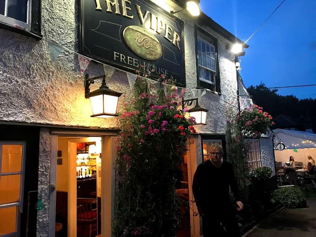 The Viper | Badgers Lea, Mill Green Rd, Mill Green, Ingatestone CM4 0PT, UK | Phone: 01277 352010