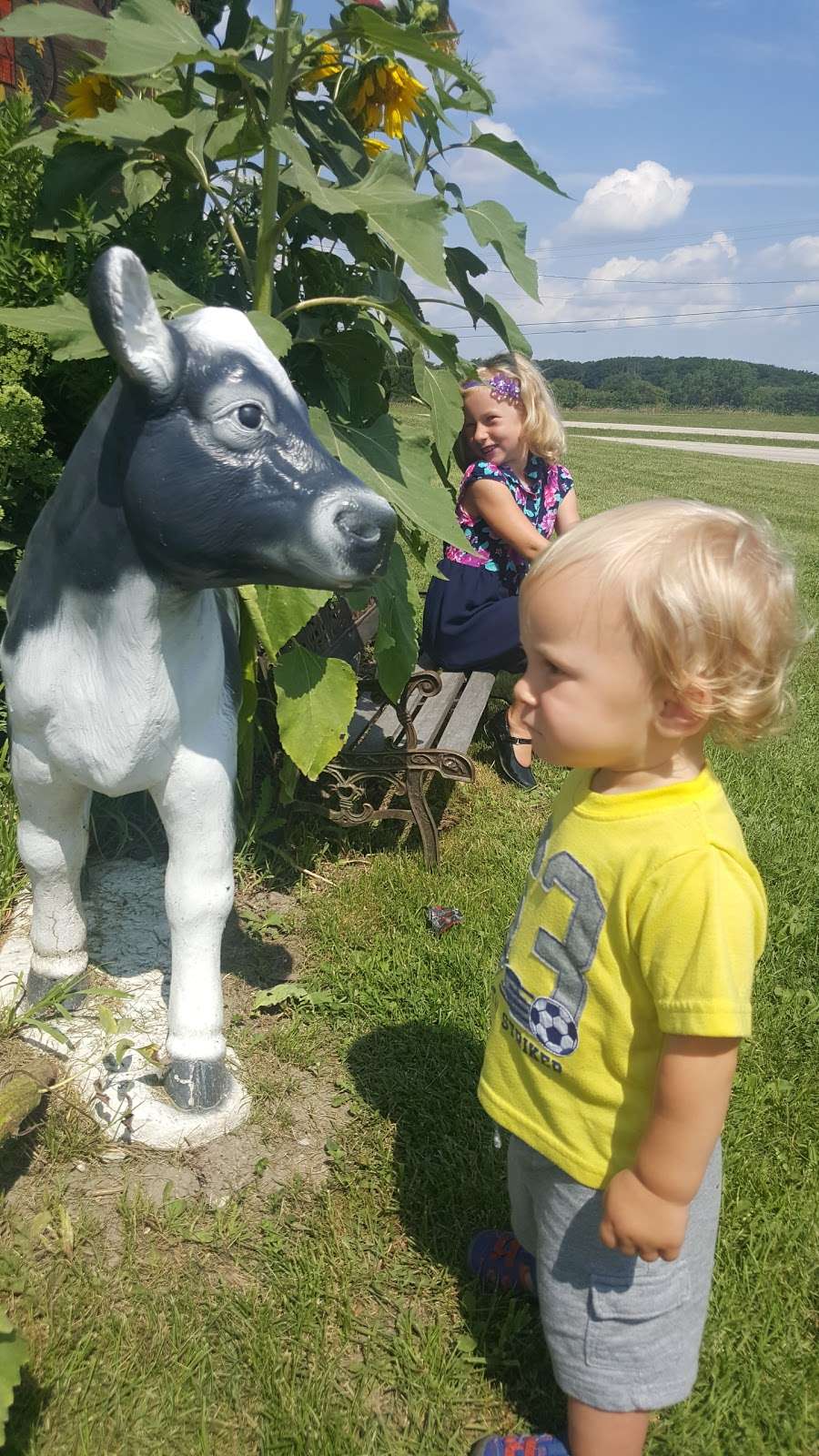 Meyer Family Farms Vegetable Stand | 22201 75th St, Salem, WI 53168 | Phone: (262) 620-1039