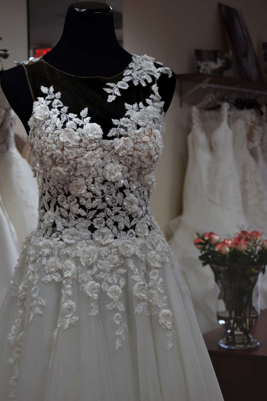 Donnas Bridal | 807 Waukegan Rd, Northbrook, IL 60062, USA | Phone: (224) 723-5827