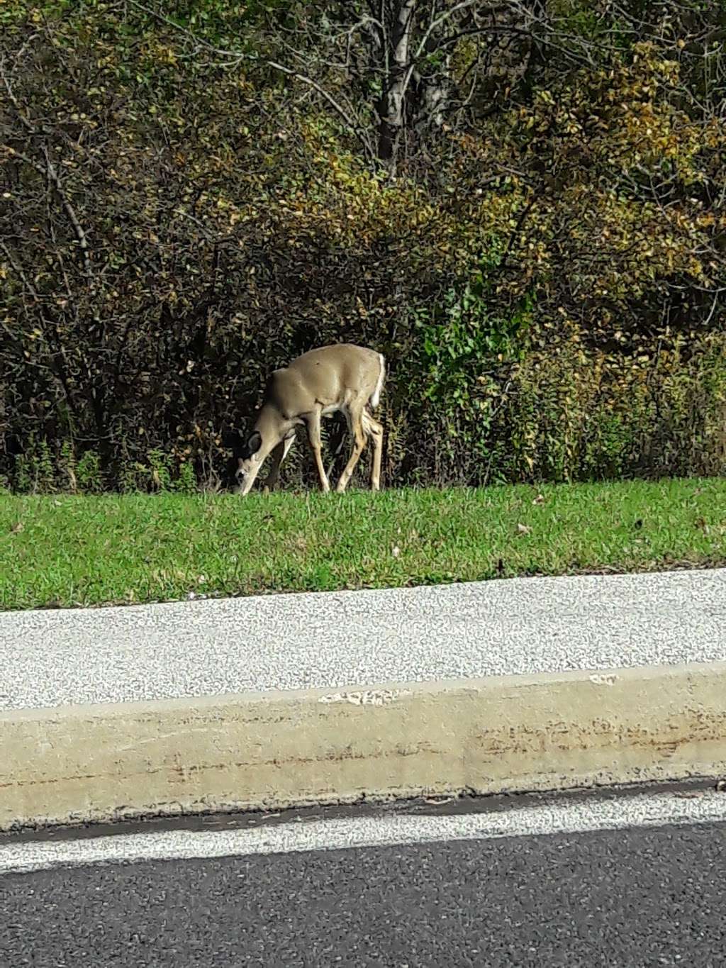 Bob Case Park | 300 Abrams Mill Rd, King of Prussia, PA 19406, USA