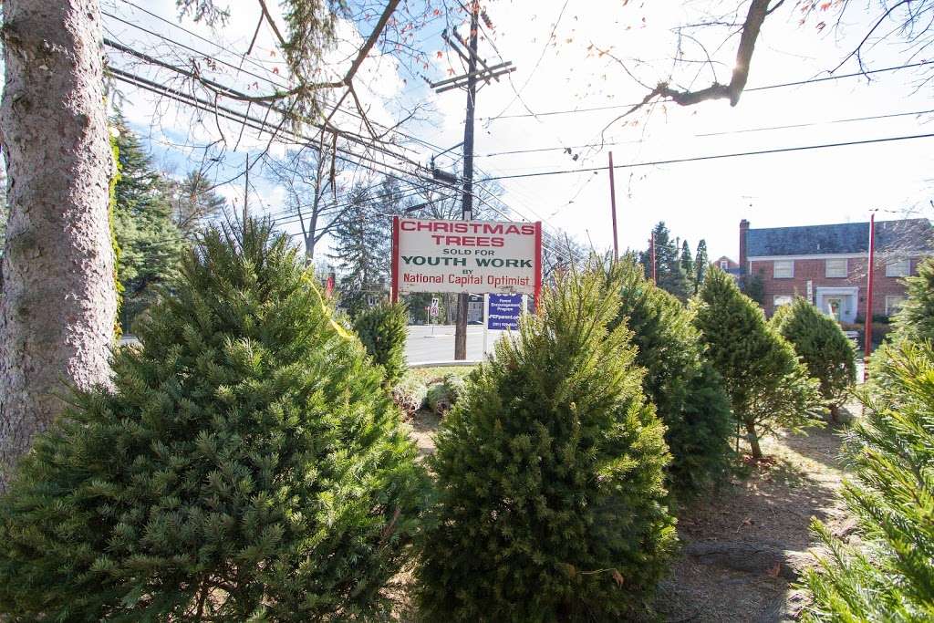 NCOC Christmas Trees | 10100 Connecticut Ave, Kensington, MD 20895, USA | Phone: (301) 946-6262