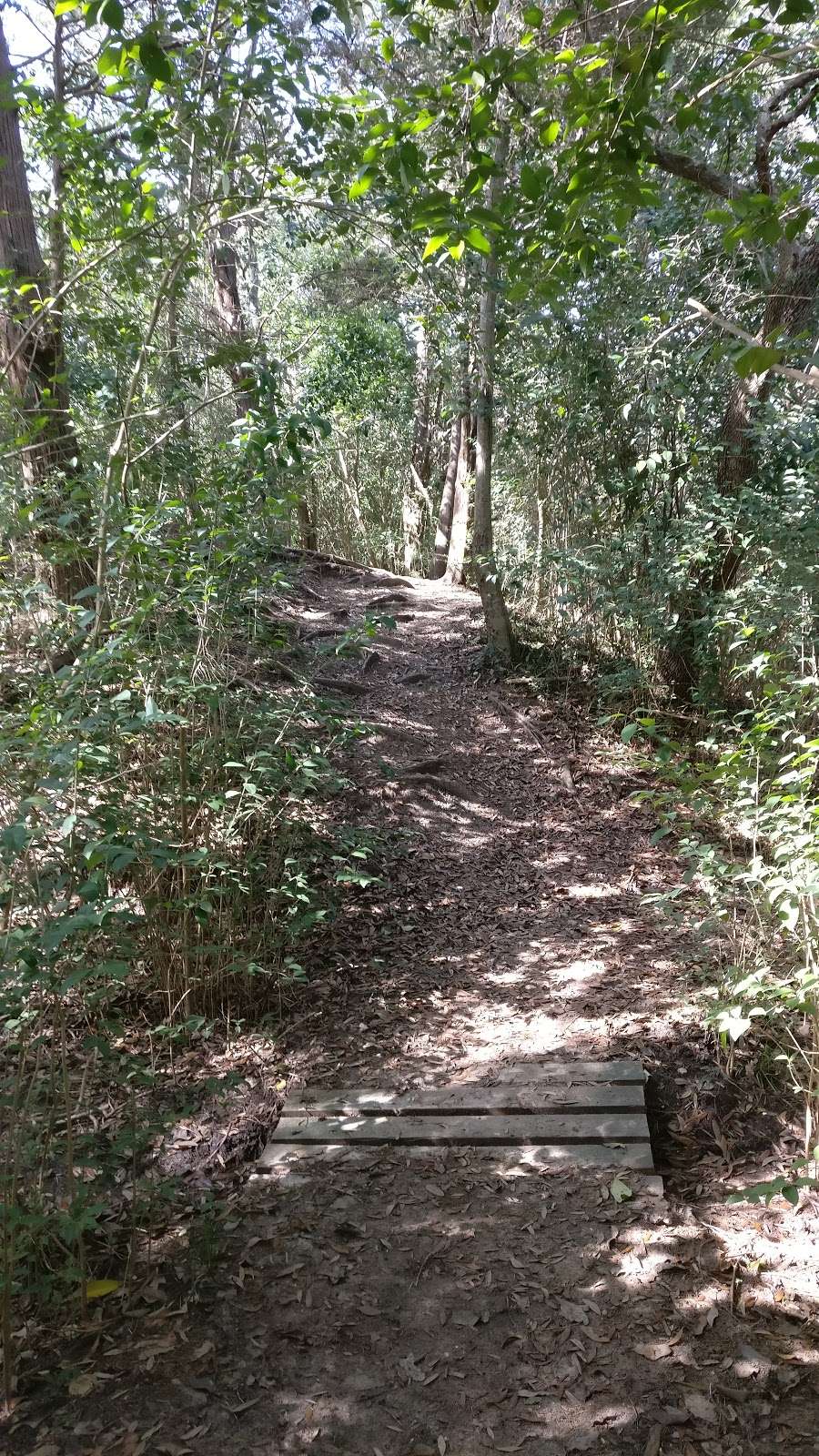 Jack Brooks Mountain Bike Trail Head | Jack Brooks Rd, Hitchcock, TX 77563