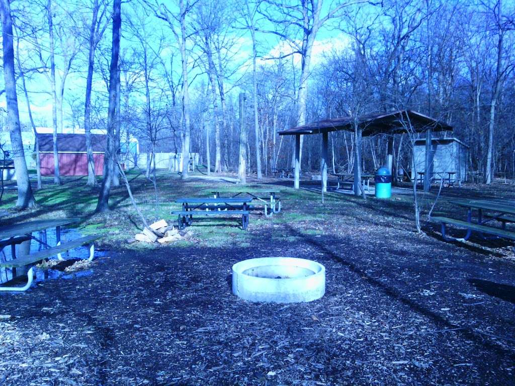 Cabin Nature Center | 111 S Wood Dale Rd, Wood Dale, IL 60191 | Phone: (630) 595-9333