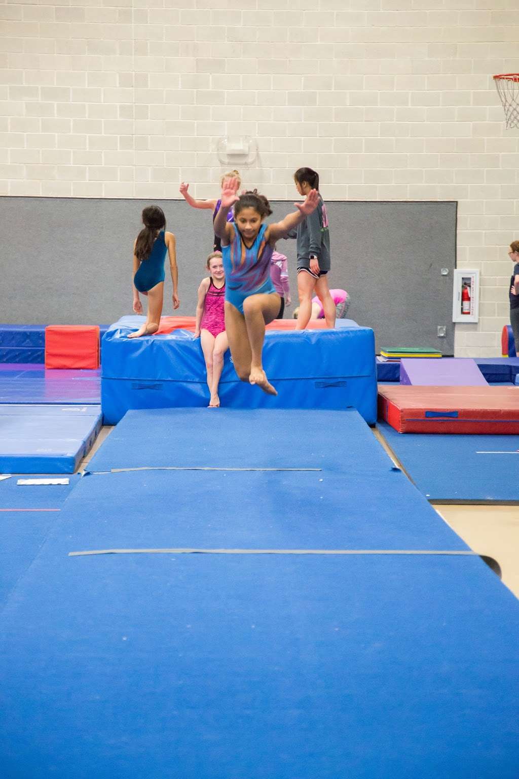 Texas Dynamix Gymnastics | 1330 E Rosemeade Pkwy, Carrollton, TX 75007, USA | Phone: (214) 543-4828