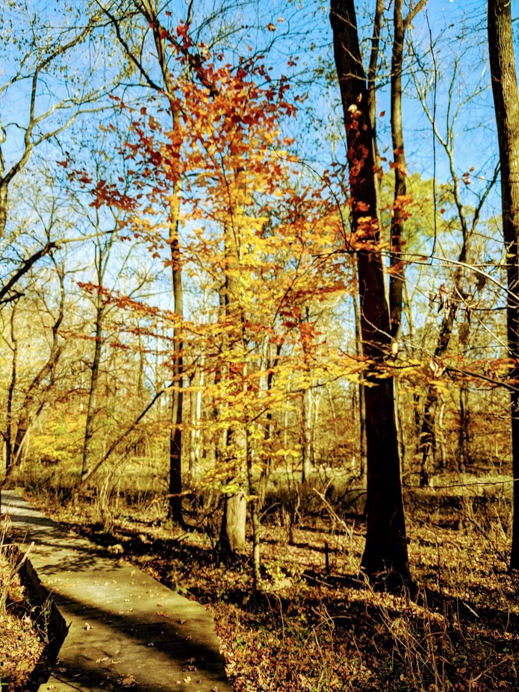 Patuxent Research Refuge - North Tract Visitor Center | 230 Bald Eagle Dr, Laurel, MD 20724 | Phone: (301) 497-5770