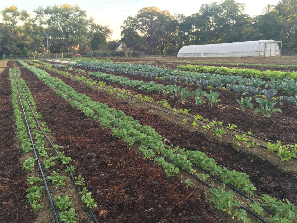 interfaith food shuttle farm raleigh