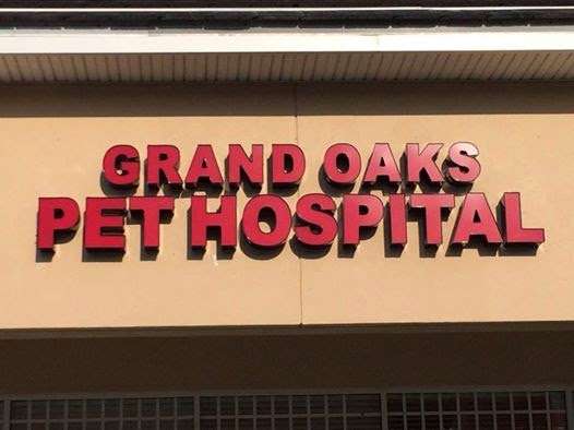 Grand Oaks Pet Hospital | 5114 Dr Phillips Blvd, Orlando, FL 32819, USA | Phone: (407) 291-4887