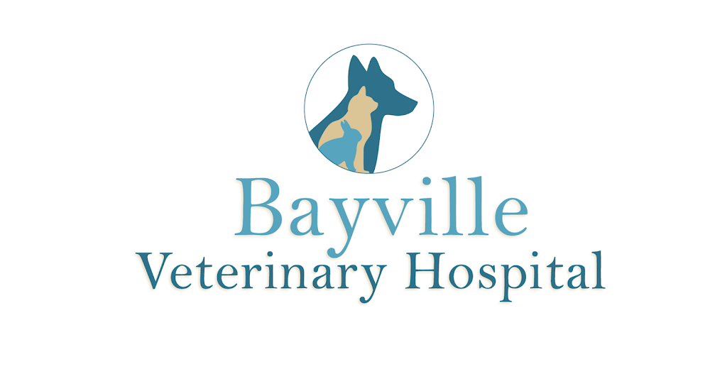 Bayville Veterinary Hospital | 251 Atlantic City Blvd, Bayville, NJ 08721, USA | Phone: (732) 269-0003