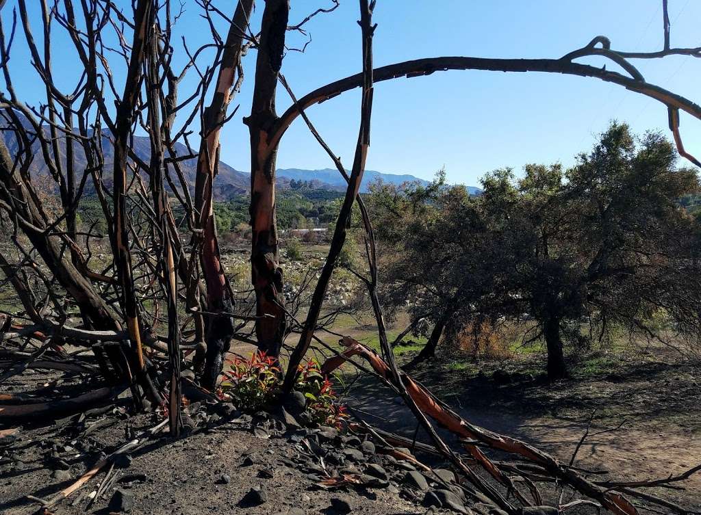 Oso Hiking Trail Head | 1290 Meyer Rd, Ojai, CA 93023, USA