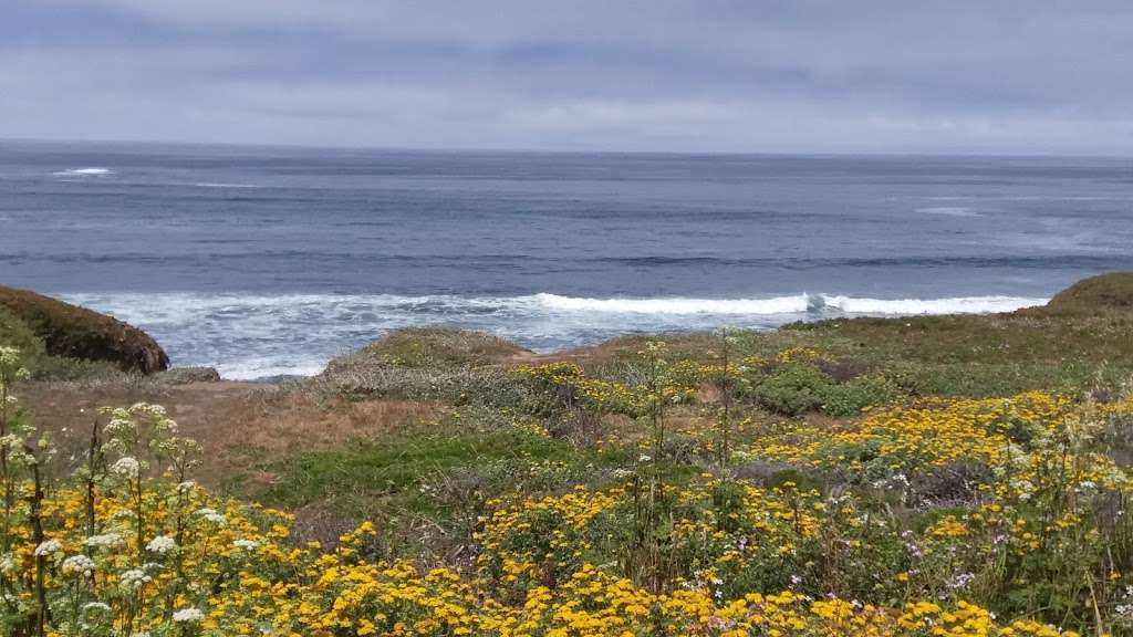 Lighthouse Ranch Open Space | Pigeon Point Rd, Pescadero, CA 94060, USA | Phone: (650) 854-7696