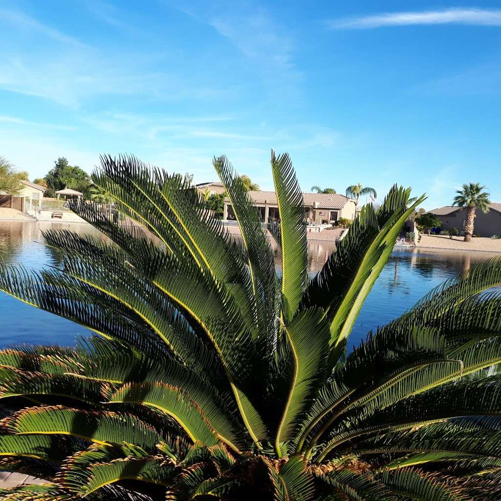 Pinelake Park | 598 E Crescent Way, Chandler, AZ 85249, USA | Phone: (480) 782-2727