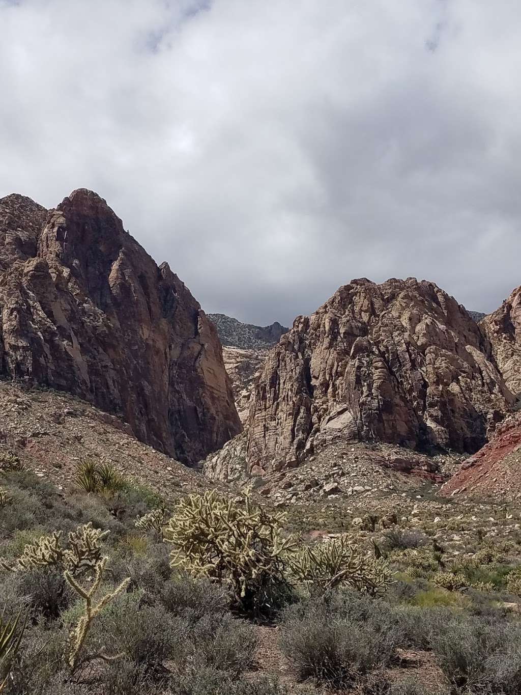 Black Velvet Canyon Trail | Black Velvet Rd, Las Vegas, NV 89161, USA