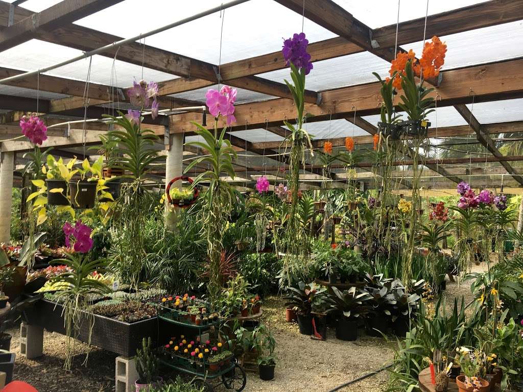 Bamboo And Orchid Gardens | 2325 S Flamingo Rd, Davie, FL 33325, USA | Phone: (954) 931-7733 Bamboo And Orchid Gardens | 2325 S Flamingo Rd, Davie, FL 33325, USA | Phone: (954) 931-7733