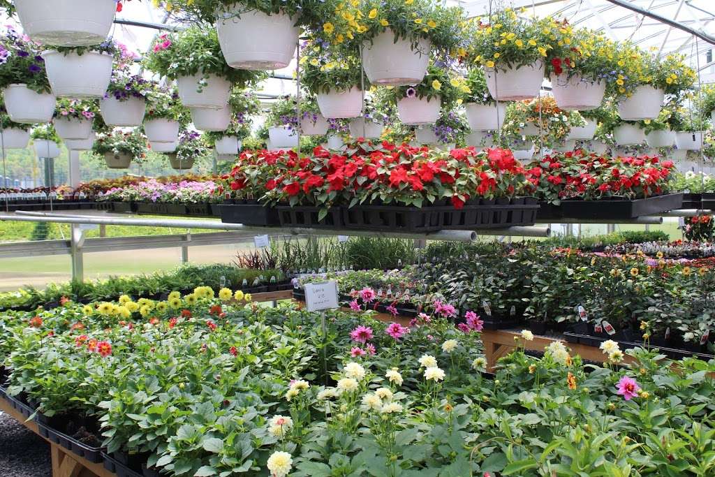 Hillside Garden Center | 9012, 1401 W Kings Hwy, Gap, PA 17527, USA | Phone: (717) 442-3167