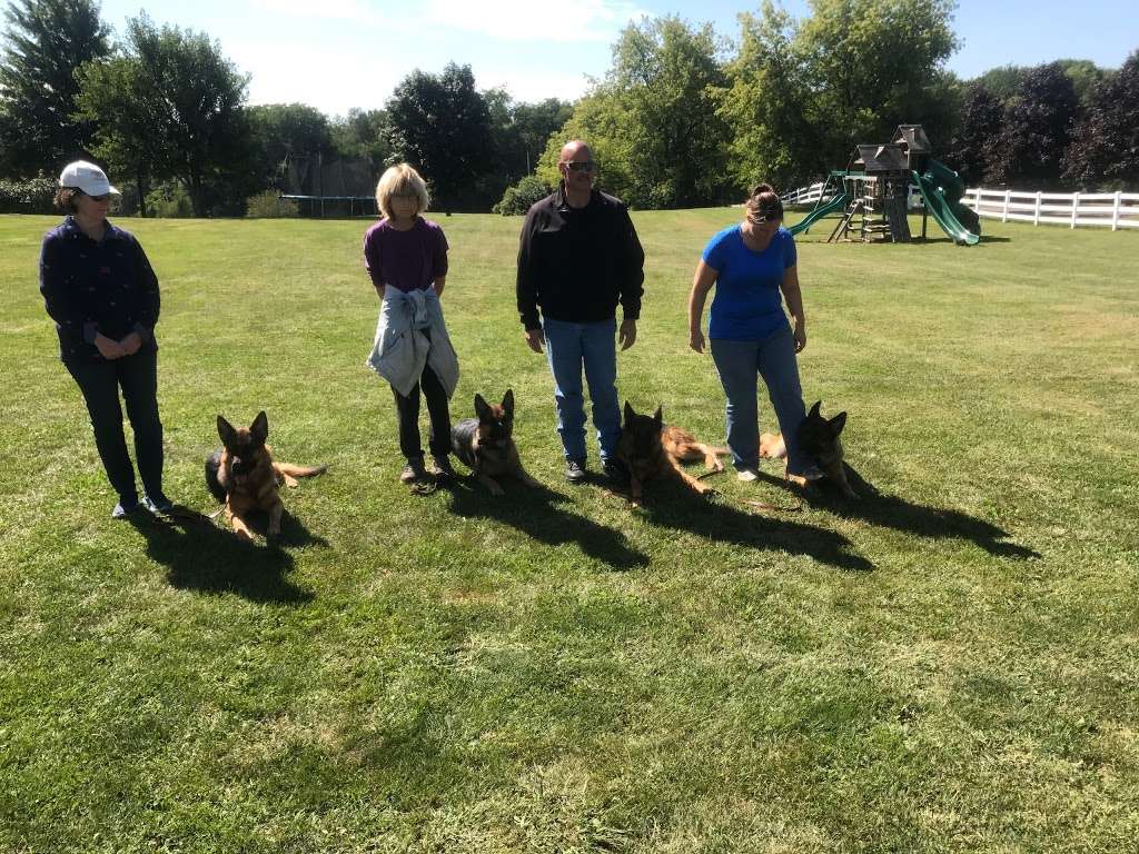 Regis Regal German Shepherds | 1710 IL-173, Spring Grove, IL 60081, USA | Phone: (847) 721-1908