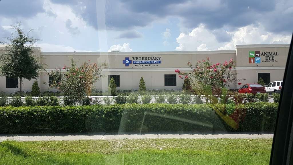 Affiliated Veterinary Specialists--Waterford Lakes | 11011 Lake Underhill Rd, Orlando, FL 32825 | Phone: (407) 644-1287