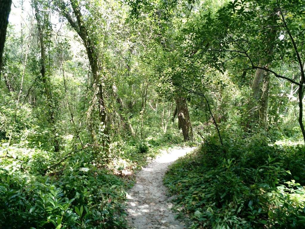 Recreation & Nature Park | Mt Dora, FL 32757, USA