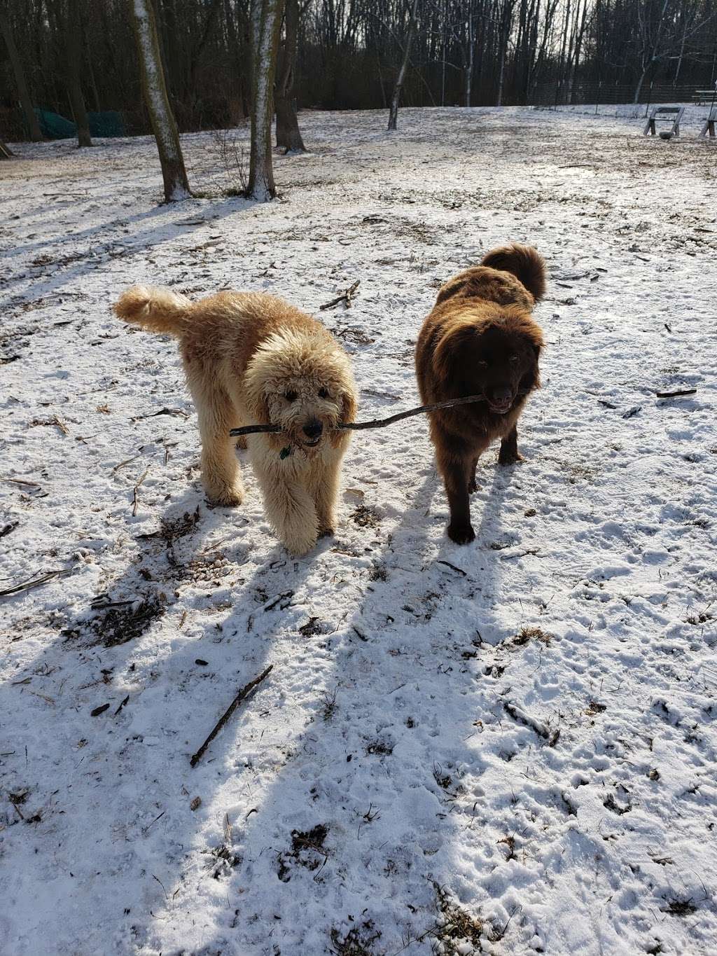 Warnimont Dog Park | 6100 S Lake Dr, Cudahy, WI 53110 | Phone: (414) 762-1550