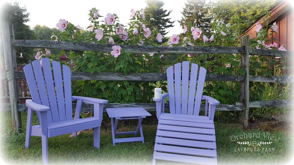 Orchard View Lavender Farm | 101 Karrsville Rd, Port Murray, NJ 07865 | Phone: (201) 341-8147