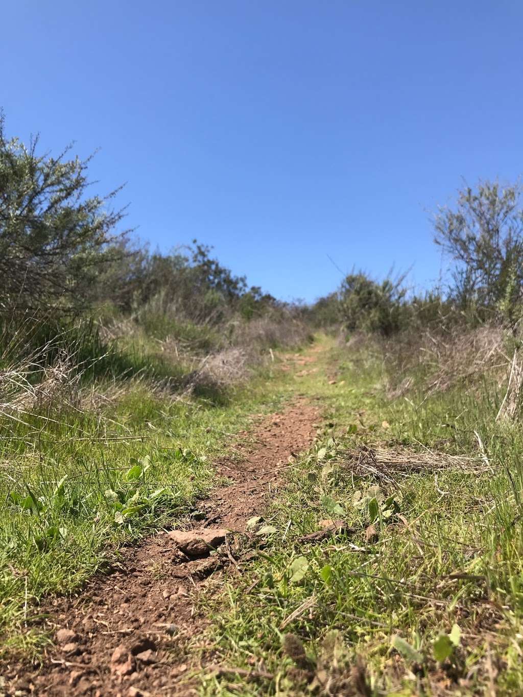 Bancroft Creek | 2037 S Barcelona St, Spring Valley, CA 91977, USA