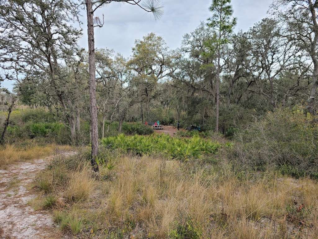 Green Swamp Wilderness Preserve - West Tract | Dade City, FL 33525, USA | Phone: (352) 796-7211