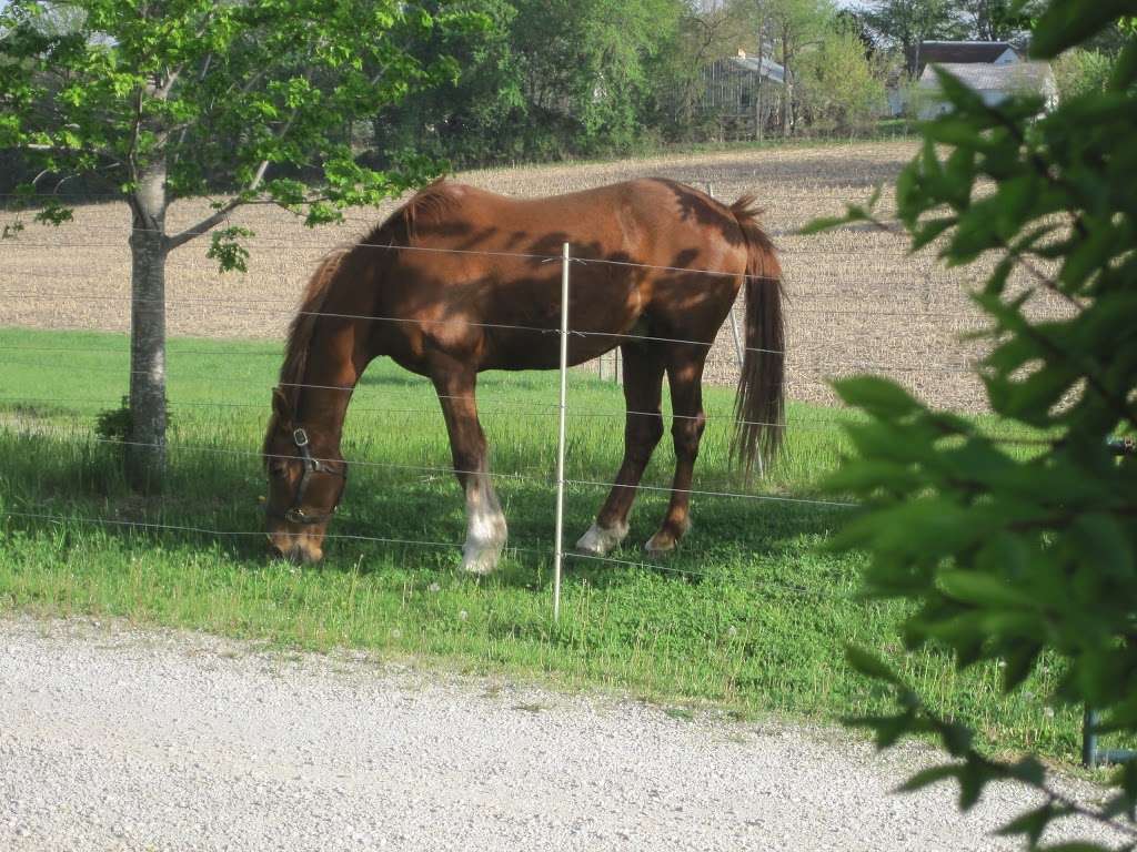 The Albee Farm horse motel/riding center | 19671 SE State Rte Dd, St Joseph, MO 64505, USA | Phone: (816) 676-2267