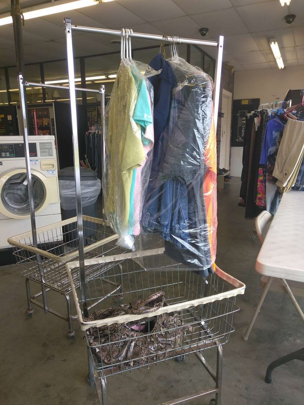 Rose Drop-Off Laundry - Thrift Store | 1224 N Jesse James Rd, Excelsior Springs, MO 64024 | Phone: (913) 233-0776