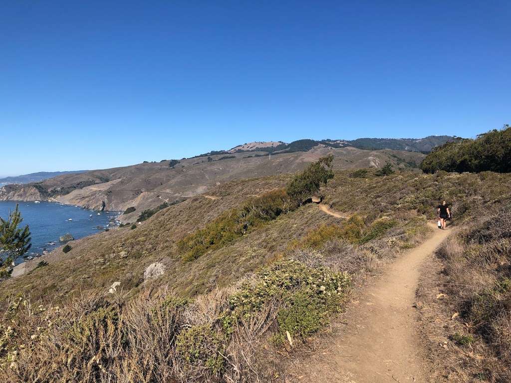 Owl Trail | Muir Beach, CA 94965