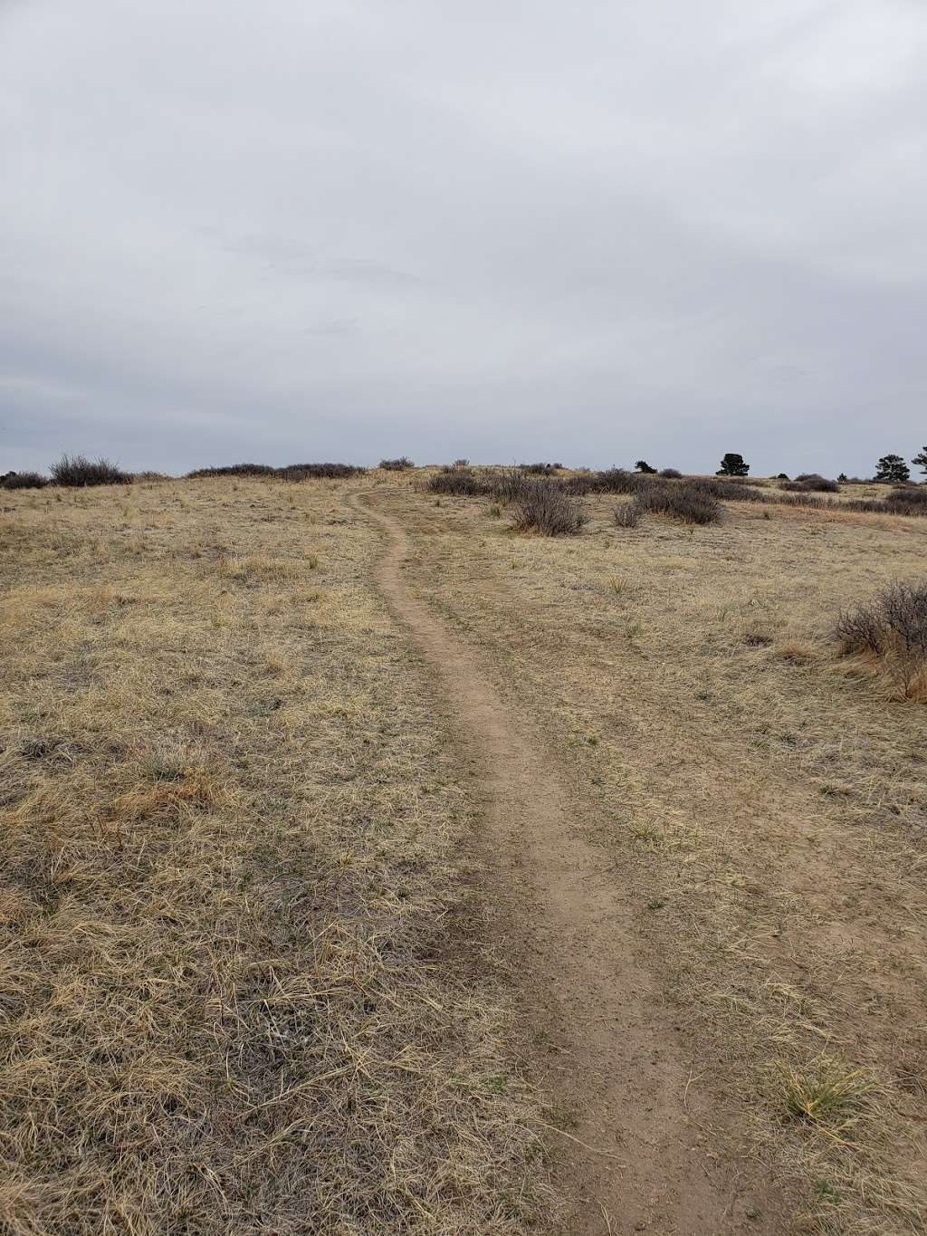 Hilltop Trails | Parker Single Track D, Parker, CO 80138, USA