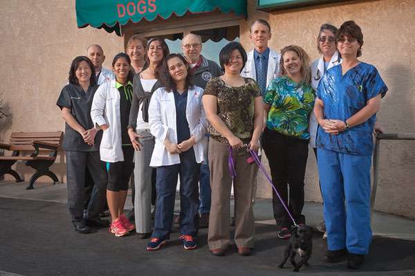 West Hills Veterinary Clinic | 23233 Saticoy St #101, West Hills, CA 91304, USA | Phone: (818) 592-6101