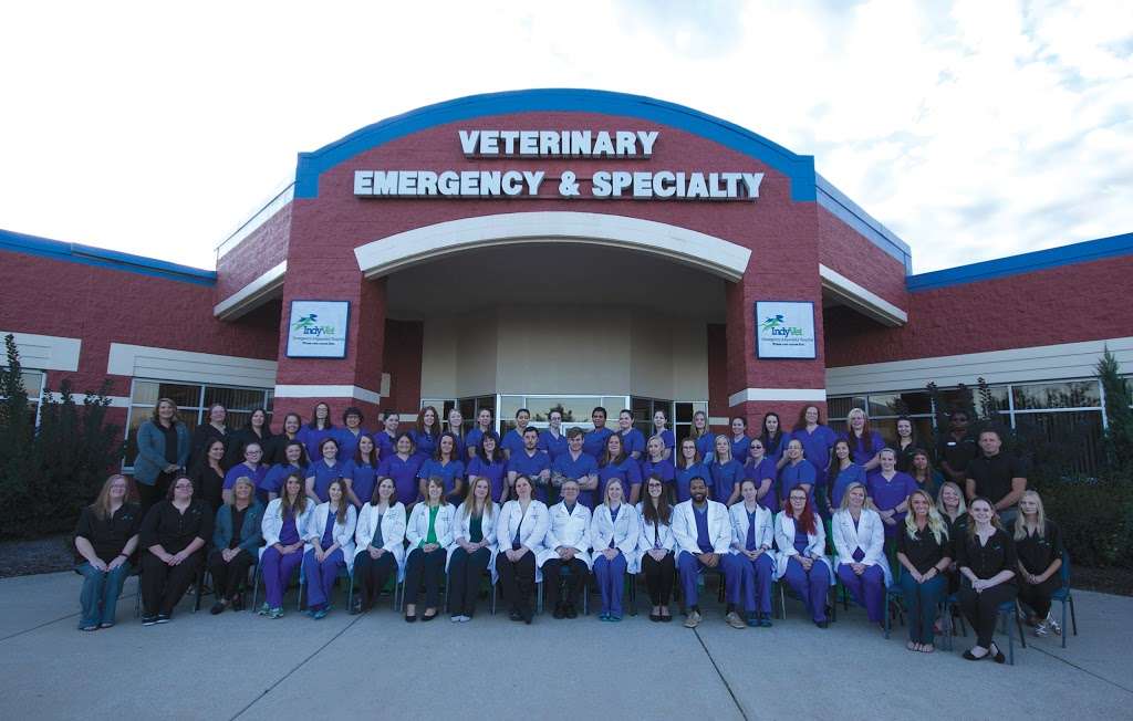 IndyVet Emergency & Specialty Hospital | 5425 Victory Dr, Indianapolis, IN 46203, USA | Phone: (317) 782-4484