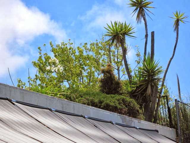 Solar swimming pool Installation and Repair | 5531 Fulton Ave, Sherman Oaks, CA 91401, USA | Phone: (888) 522-8377