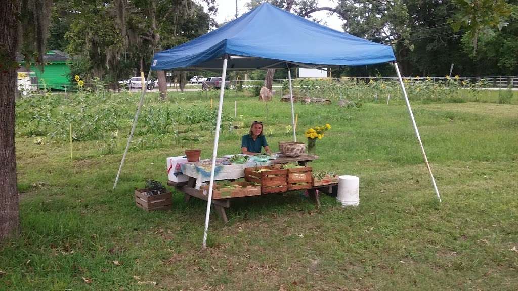 Suttons Community Garden & Farmers Market | 701 Hamblen Rd, Kingwood, TX 77339, USA | Phone: (281) 704-1344