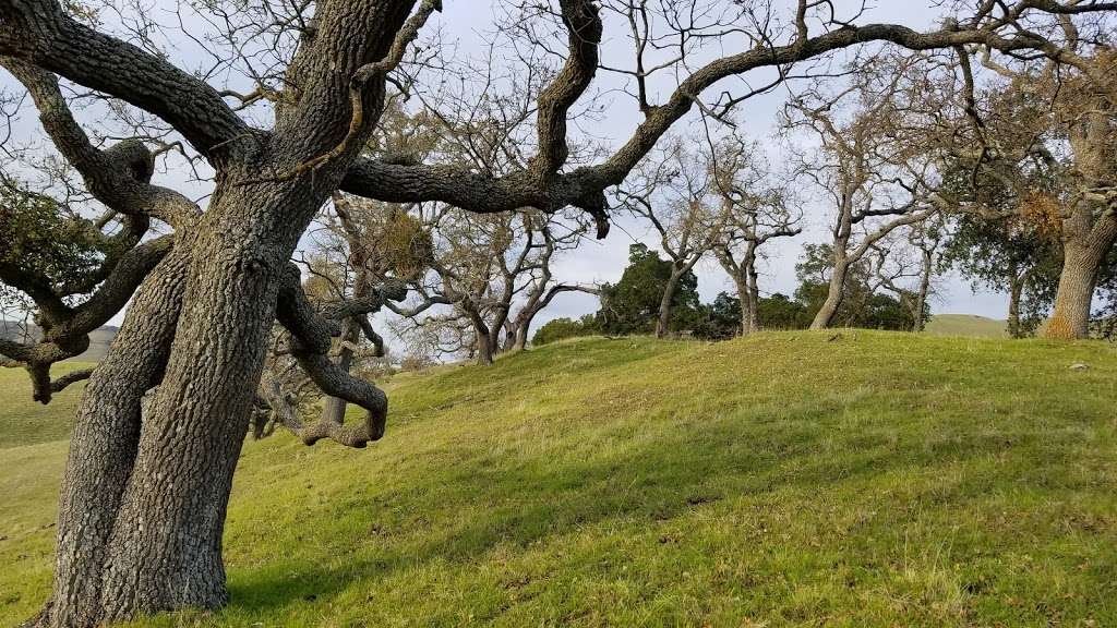 Sunol Visitor Center | Geary Rd, Fremont, CA 94539, USA | Phone: (888) 327-2757