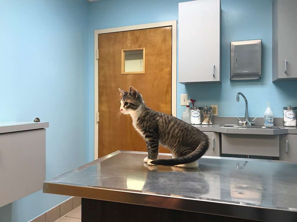 East Oak Veterinary Hospital | 1673 E Oak Rd, Vineland, NJ 08361 | Phone: (856) 696-4440