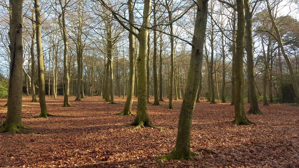 Crossness Nature Reserve | Belvedere, Erith DA17 6FP, UK