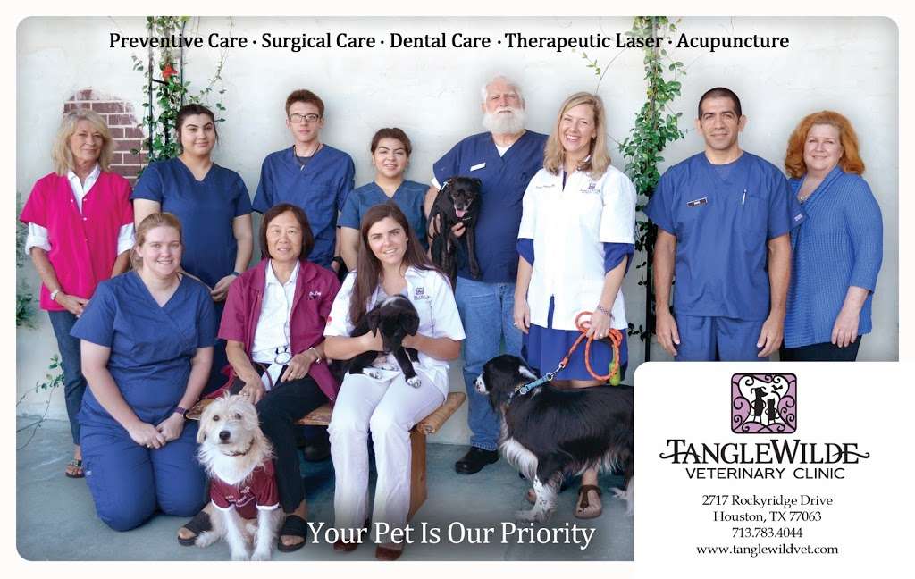 Tanglewilde Veterinary Clinic | 2717 Rockyridge Dr, Houston, TX 77063, USA | Phone: (713) 783-4044