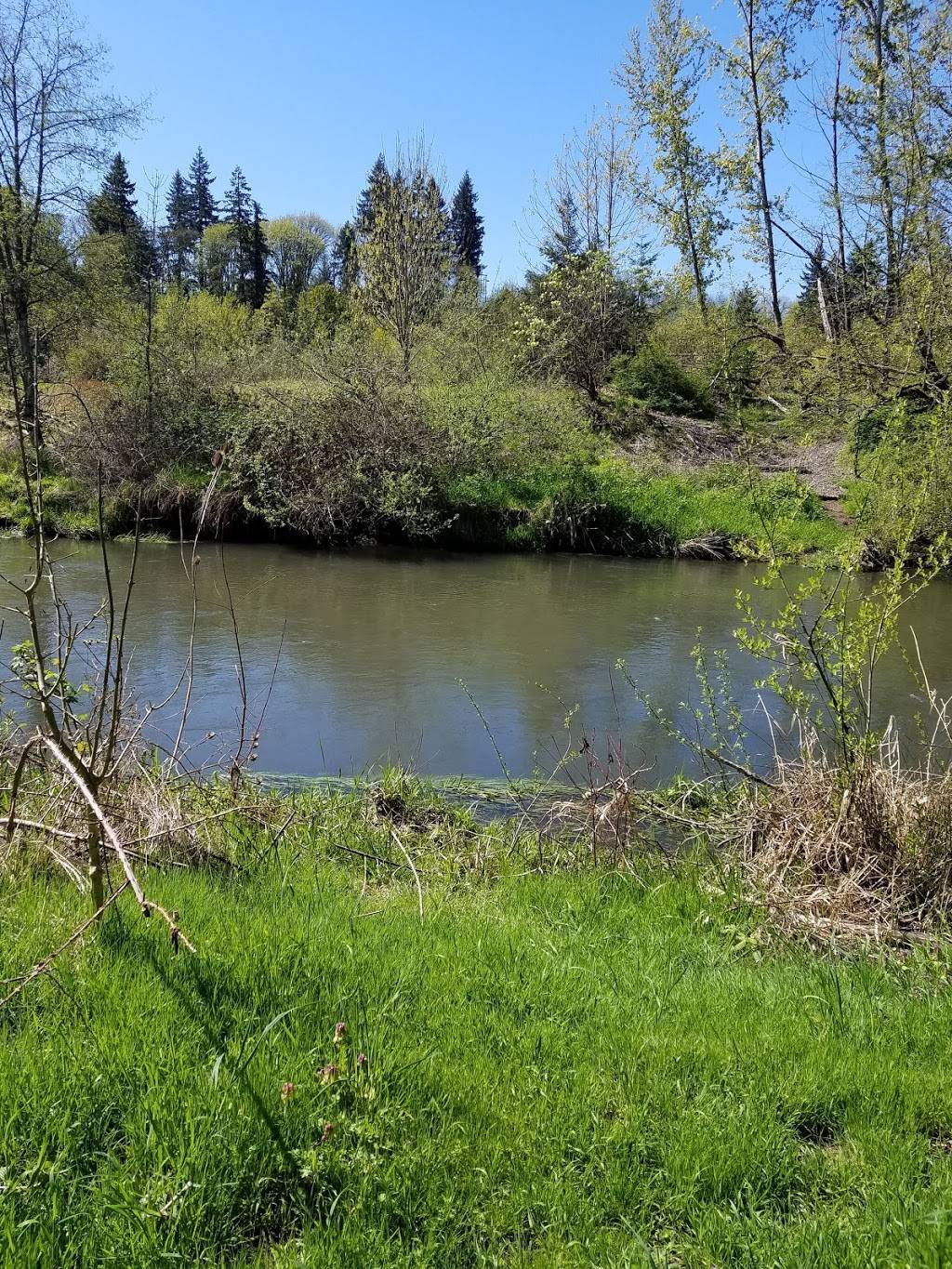 Salmon Creek Regional Park/Klineline Pond | 1112 NE 117th St, Vancouver, WA 98685, USA | Phone: (360) 397-2285