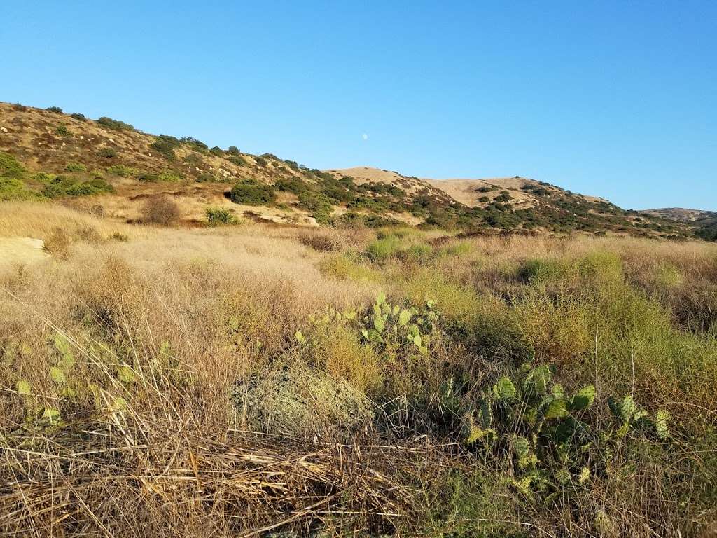 Bommer Canyon Nature Trail | Irvine, CA 92603, USA